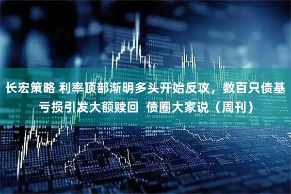 长宏策略 利率顶部渐明多头开始反攻，数百只债基亏损引发大额赎回  债圈大家说（周刊）