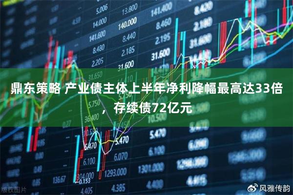 鼎东策略 产业债主体上半年净利降幅最高达33倍，存续债72亿元