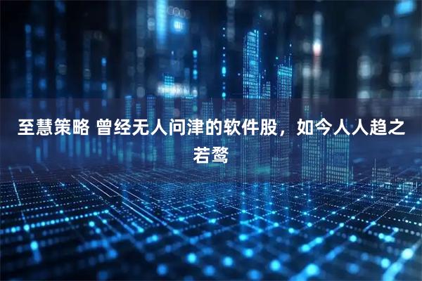 至慧策略 曾经无人问津的软件股，如今人人趋之若鹜